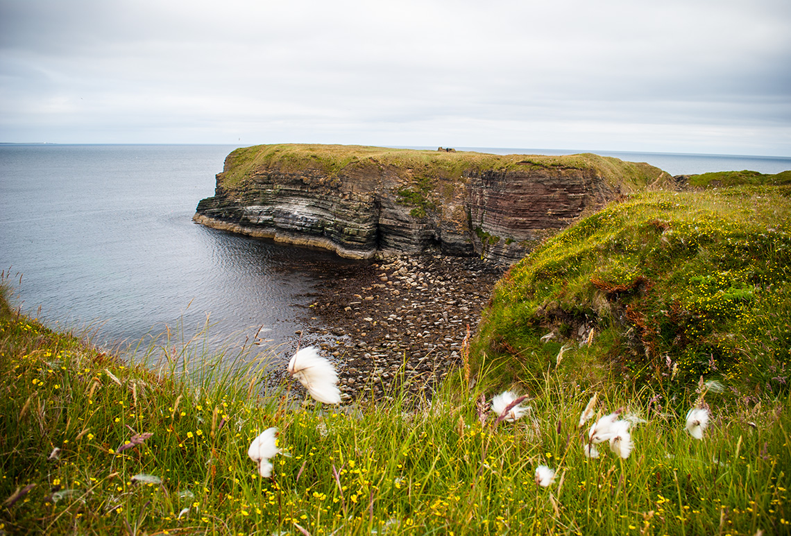 The Brough of Deerness, Orkney, Scotland