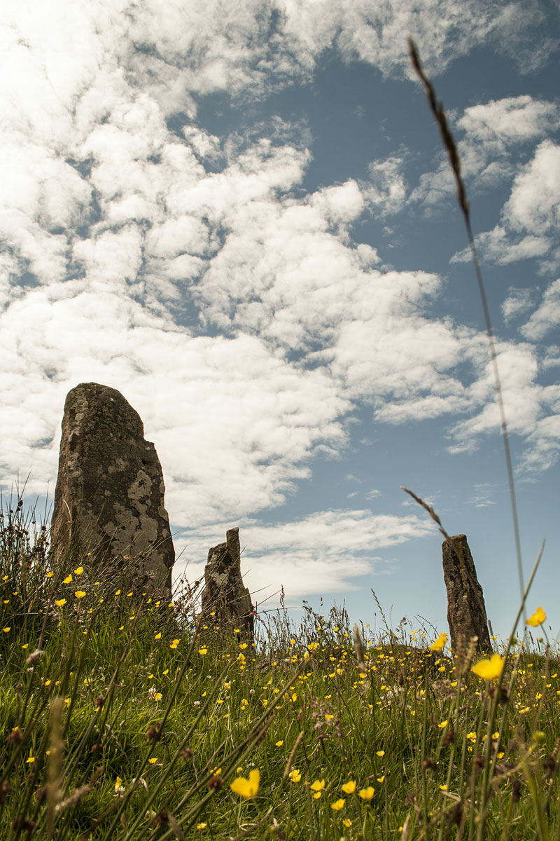 Glengorm Standing Stones, Isle of Mull, Scotland
